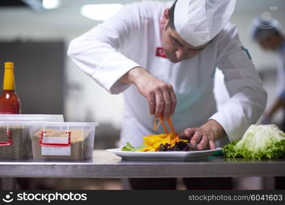 chef in hotel kitchen preparing and decorating food, delicious vegetables and meat meal dinner