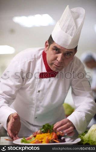 chef in hotel kitchen preparing and decorating food, delicious vegetables and meat meal dinner