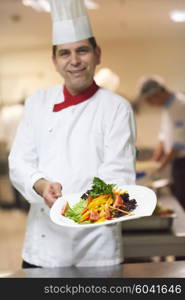 chef in hotel kitchen preparing and decorating food, delicious vegetables and meat meal dinner