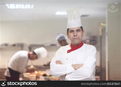 chef in hotel kitchen preparing and decorating food, delicious vegetables and meat meal dinner
