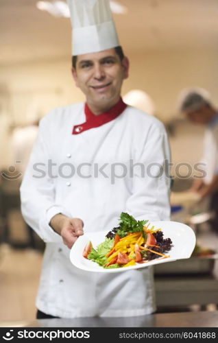 chef in hotel kitchen preparing and decorating food, delicious vegetables and meat meal dinner