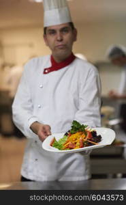 chef in hotel kitchen preparing and decorating food, delicious vegetables and meat meal dinner