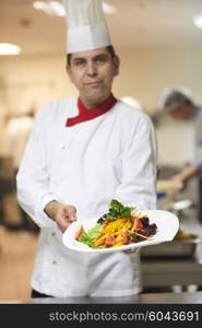 chef in hotel kitchen preparing and decorating food, delicious vegetables and meat meal dinner