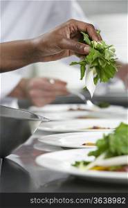 Chef preparing salad in kitchen, close-up