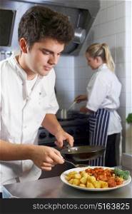Chef Working In Restaurant Kitchen