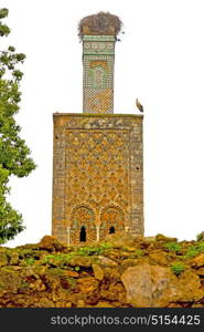 chellah in morocco africa the old roman deteriorated monument and site