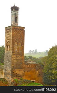 chellah in morocco africa the old roman deteriorated monument and site