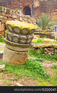 chellah in morocco africa the old roman deteriorated monument and site