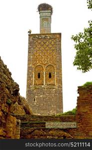 chellah in morocco africa the old roman deteriorated monument and site