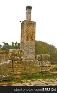 chellah in morocco africa the old roman deteriorated monument and site