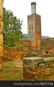chellah in morocco africa the old roman deteriorated monument and site&#xA;