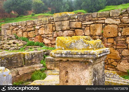 chellah in morocco africa the old roman deteriorated monument and site&#xA;