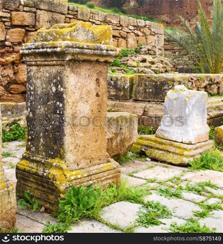 chellah in morocco africa the old roman deteriorated monument and site&#xA;