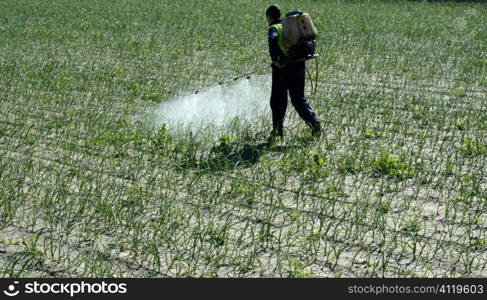 Chemical human application, onion fields