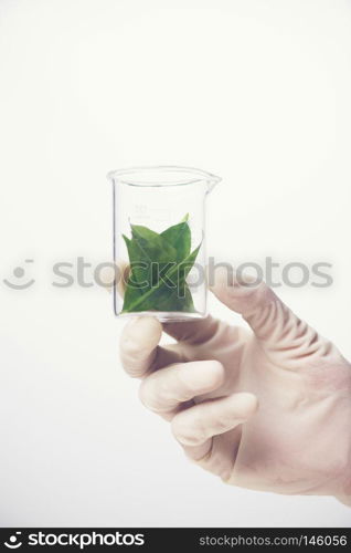 Chemical liquid in glassware of science lab on white background