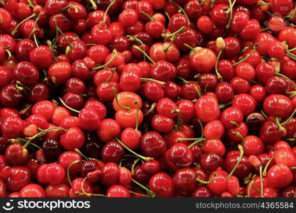 Cherries