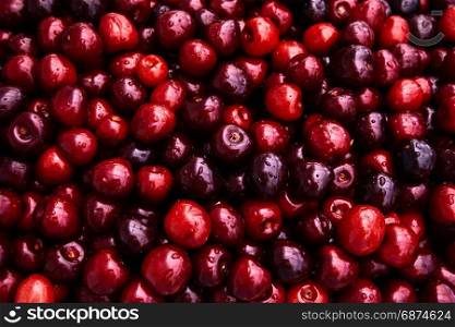 Cherries background. Sweet red cherries
