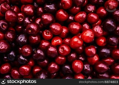 Cherries background. Sweet red cherries