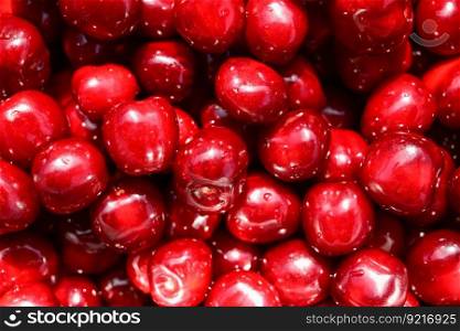 cherries fruits canning preparation