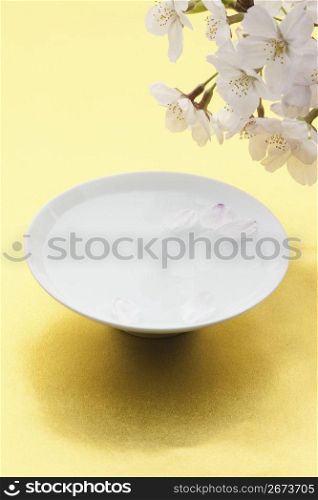 Cherry and Sake Cup
