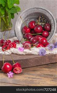 Cherry basket. cherry tree branch. fresh ripe cherries. sweet cherries in garden.