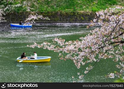Cherry blossom at Chidorigafuchi Park, Tokyo, Japan. a famous Tourist spot in Tokyo, Japan.