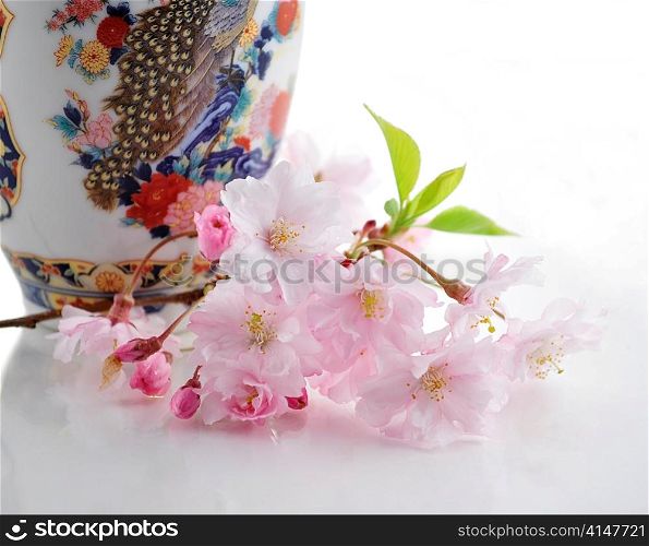 cherry blossom branch and a vintage vase