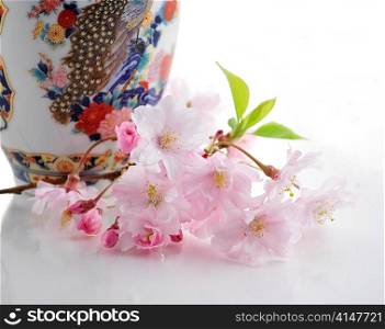 cherry blossom branch and a vintage vase