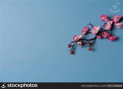 Cherry blossom branch. April floral nature and spring sakura blossom on bright blue background. Banner for 8 march, Happy Easter with place for text. Springtime concept. Top view. Flat lay. Cherry blossom branch.