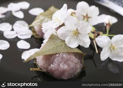 Cherry blossom rice cake