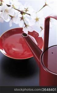 Cherry blossoms and Sake cup