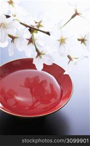 Cherry blossoms and Sake cup