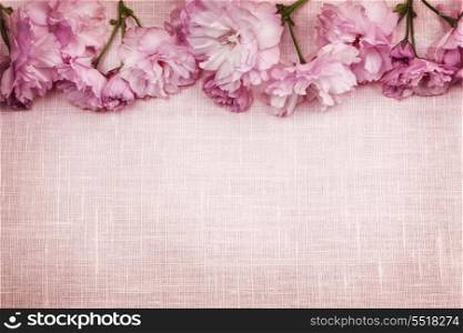 Cherry blossoms border on pink linen. Border of pink cherry blossoms row with linen background