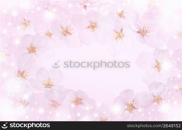 Cherry blossoms frame