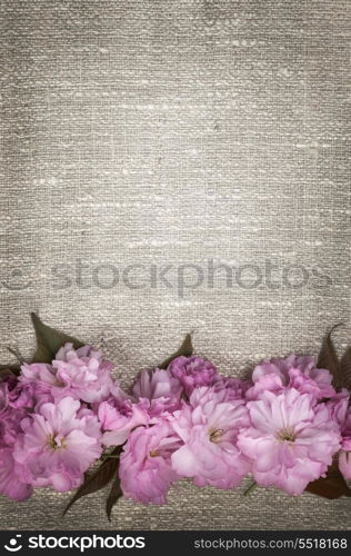 Cherry blossoms on linen background. Border of pink cherry blossoms row on natural rustic linen background