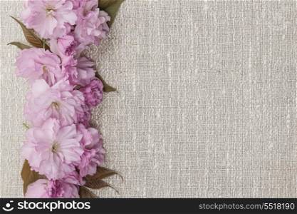 Cherry blossoms on linen background. Border of pink cherry blossoms row on natural rustic linen background