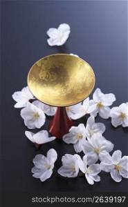 Cherry blossoms, Sake cup