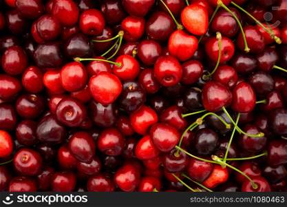 Cherry. Fresh organic berries. Fruit background