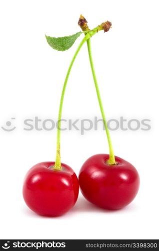 Cherry isolated on the white