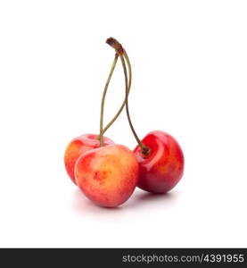 Cherry isolated on white background