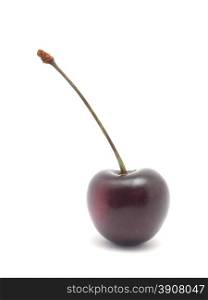 cherry on a white background