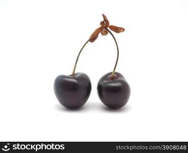 cherry on a white background