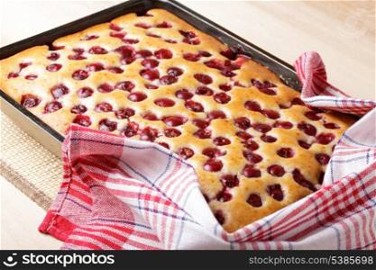 Cherry sponge cake after baking in tin with towel