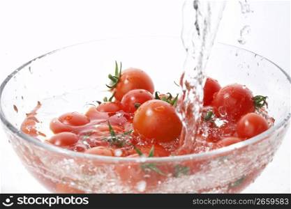 Cherry tomato