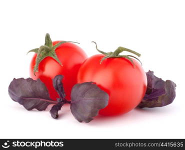 Cherry tomato and basil leaves still life isolated on white background cutout