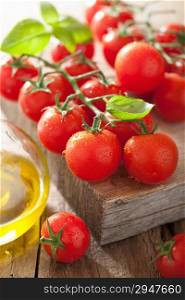 cherry tomatoes basil and olive oil over wooden background