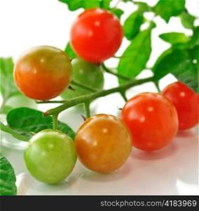 cherry tomatoes , close up