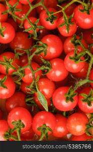 Cherry tomatoes closeup. Agriculture background