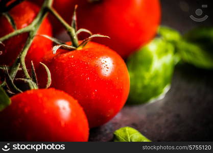 Cherry tomatoes on the vine