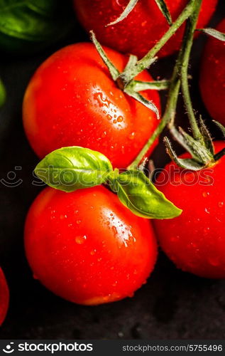 Cherry tomatoes on the vine